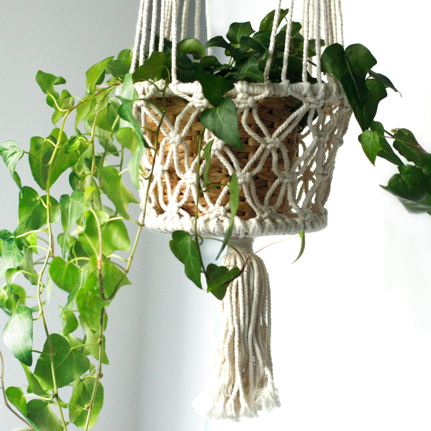 Double Macrame Pot Holder - Stylish Hanging Plant Holder for Home