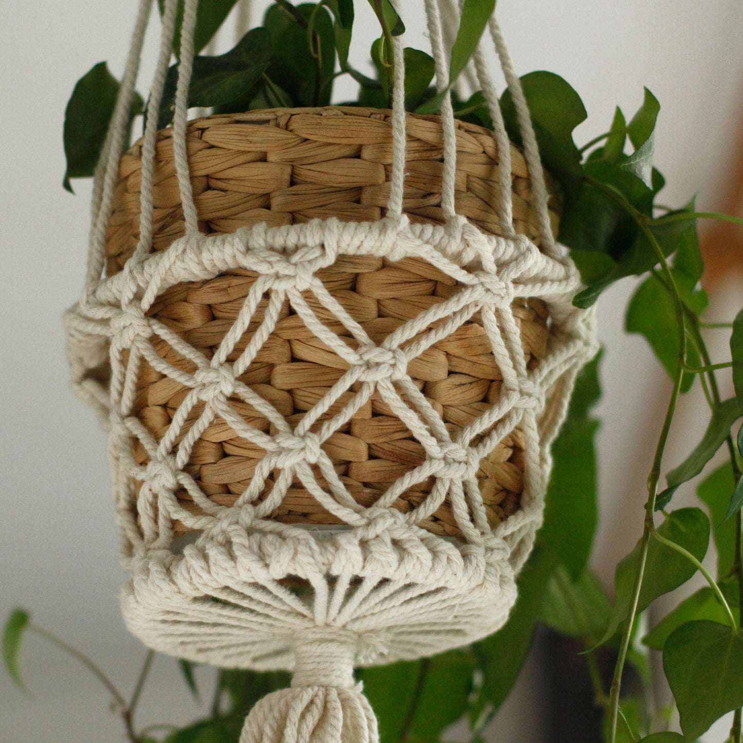 Small Single Macrame Pot Holder - Elegant Plant Hanger for Home