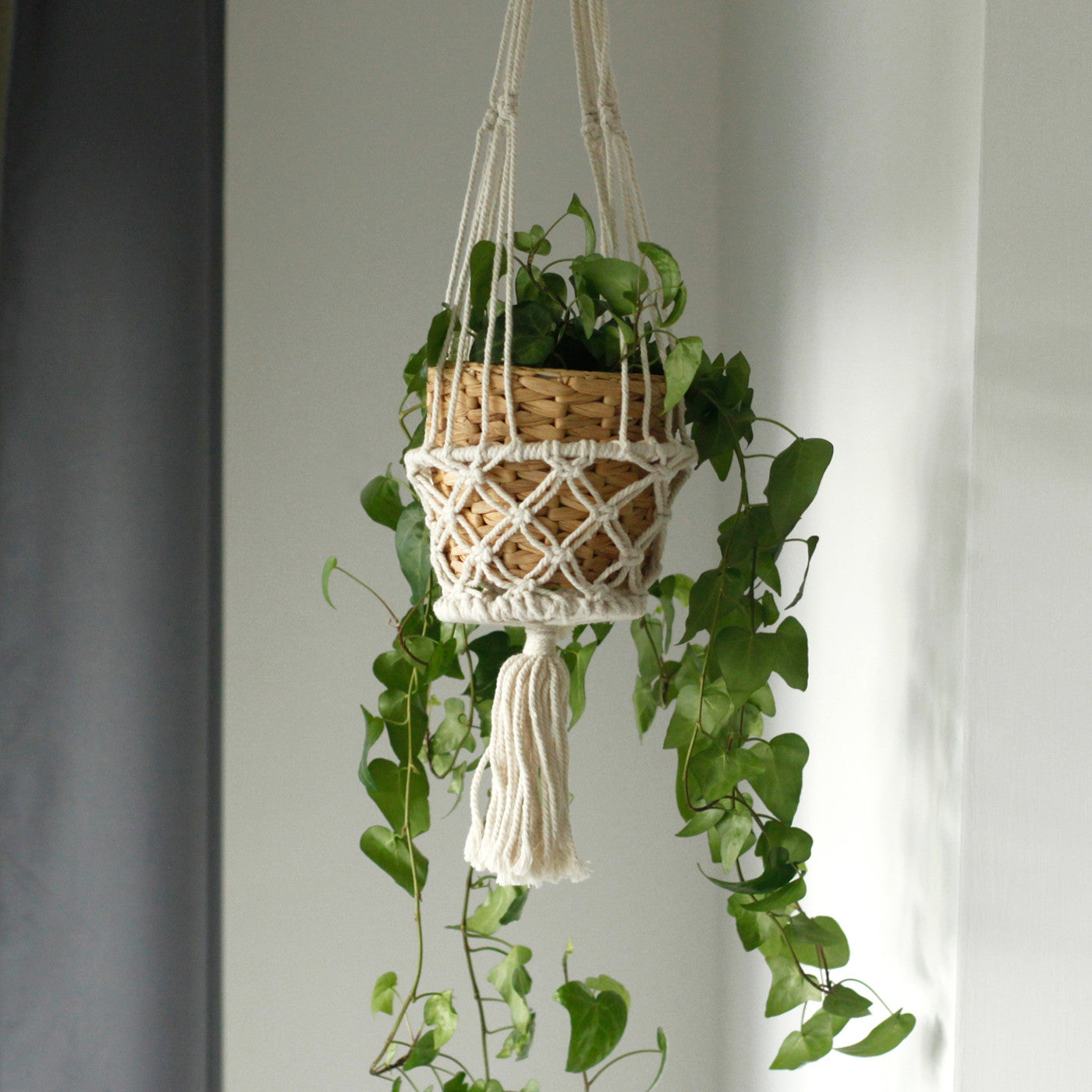 Small Single Macrame Pot Holder - Elegant Plant Hanger for Home
