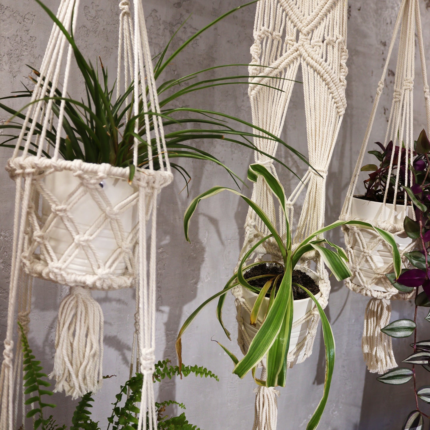 Small Single Macrame Pot Holder - Elegant Plant Hanger for Home
