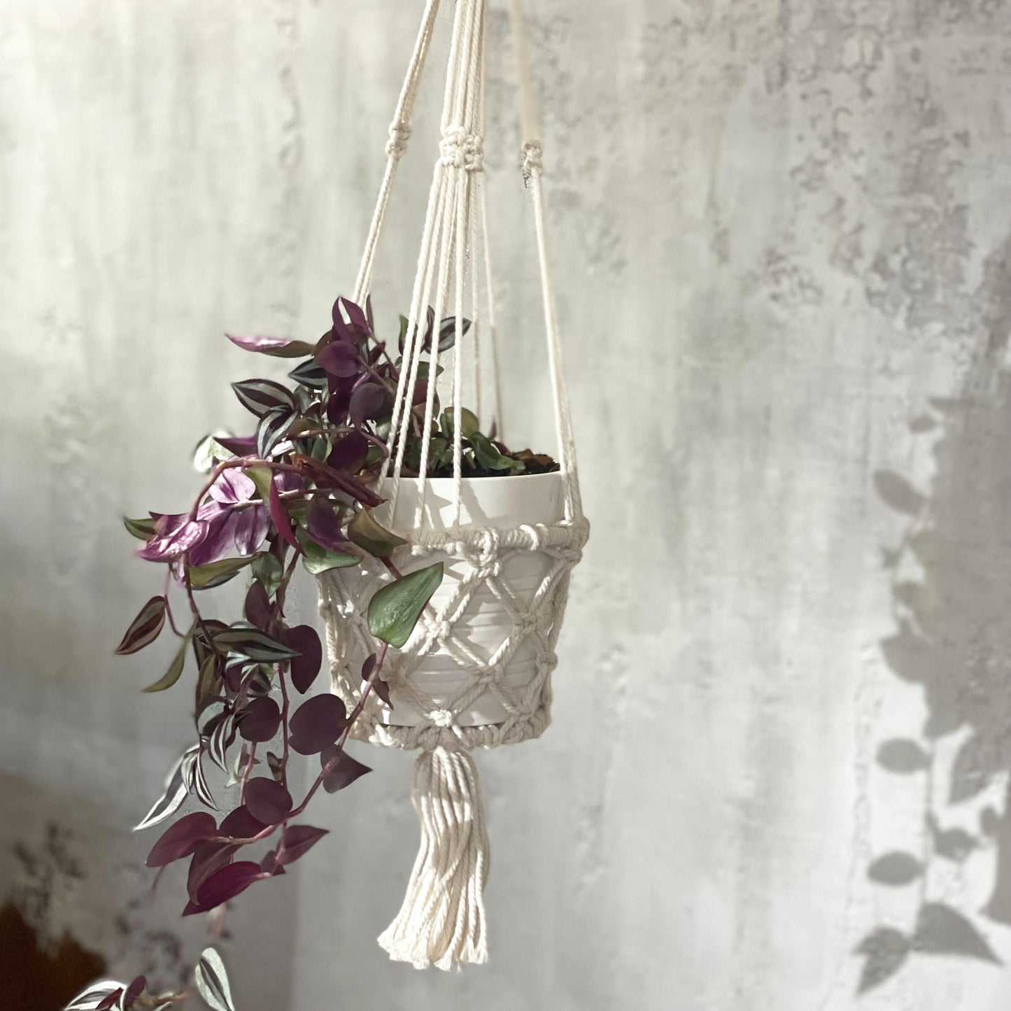 Small Single Macrame Pot Holder - Elegant Plant Hanger for Home