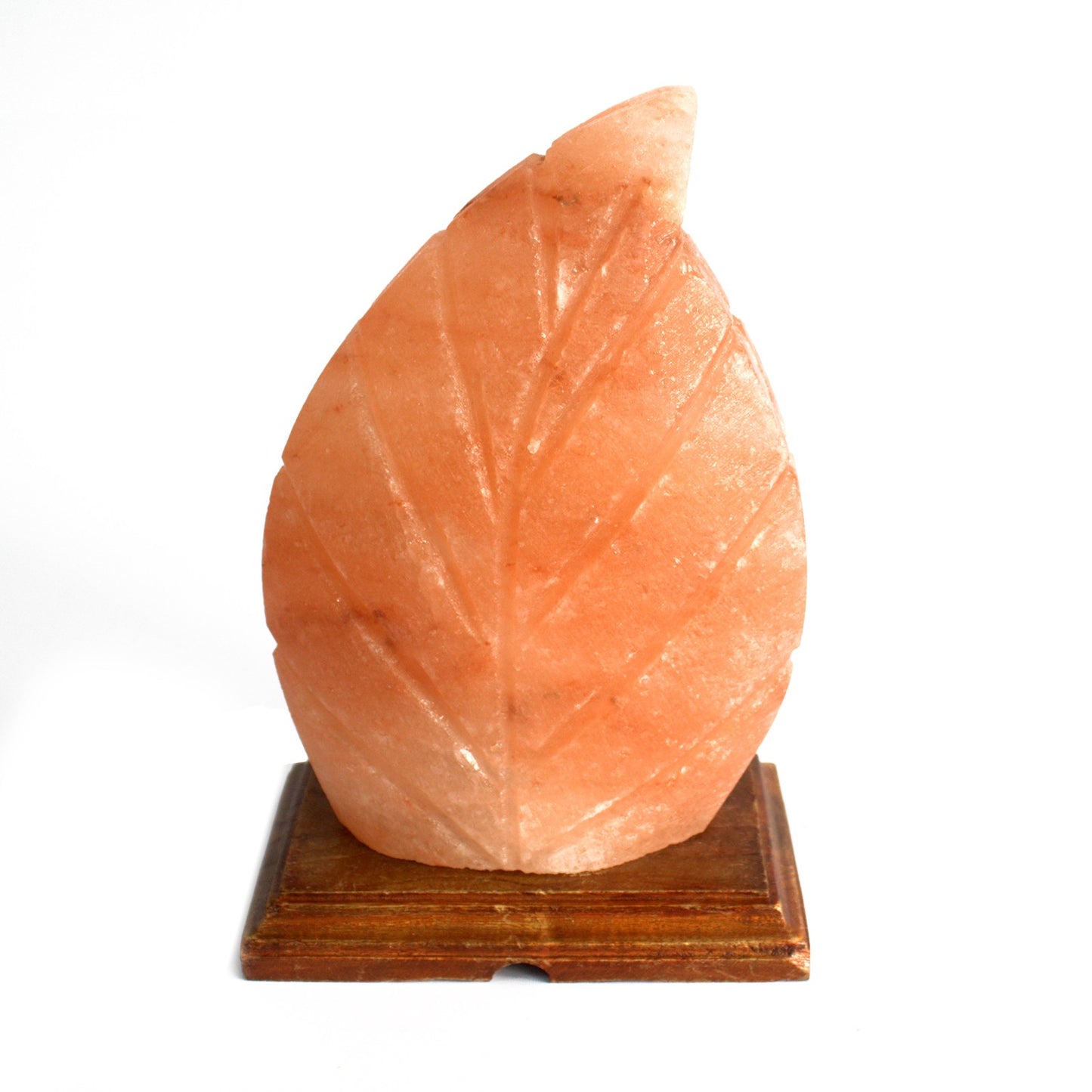 Wooden Base Himalayan Fern Leaf Shaped Salt Lamp - UK Free Delivery