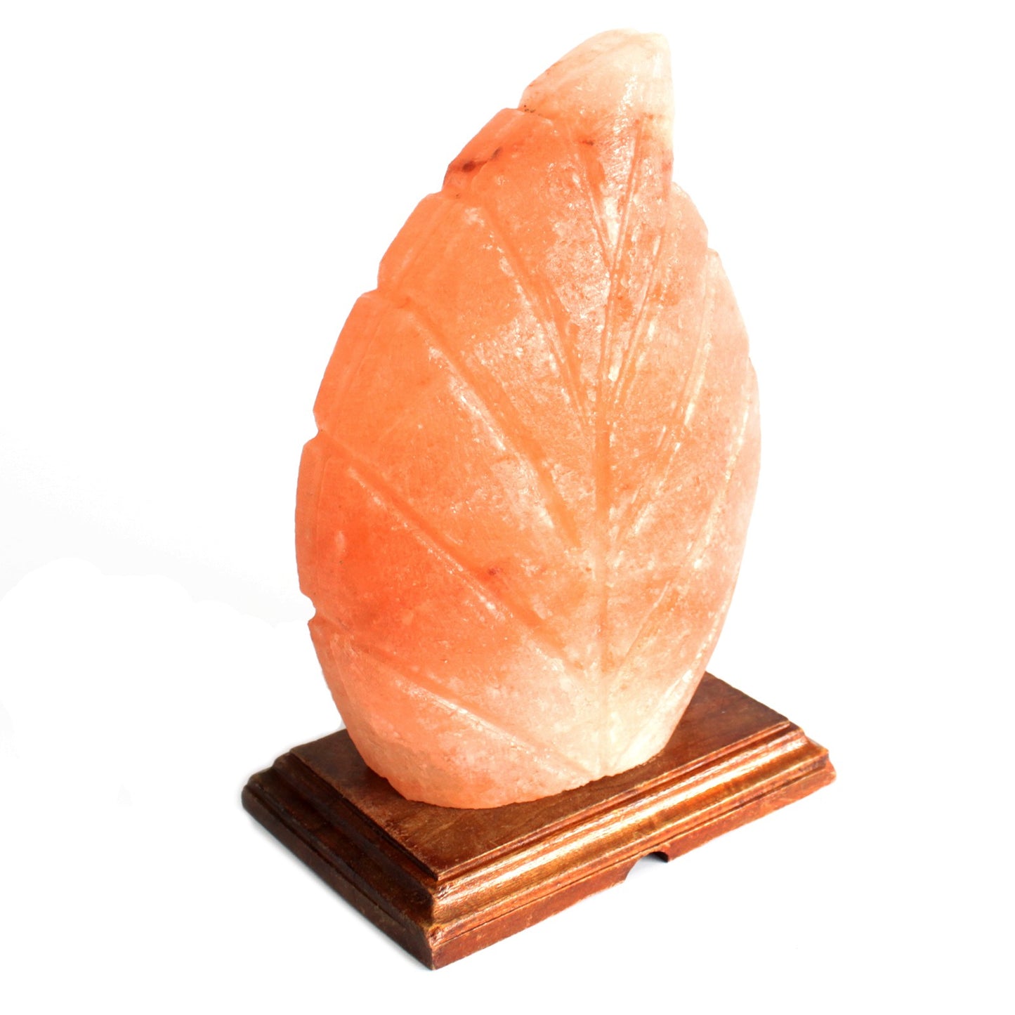 Wooden Base Himalayan Fern Leaf Shaped Salt Lamp - UK Free Delivery