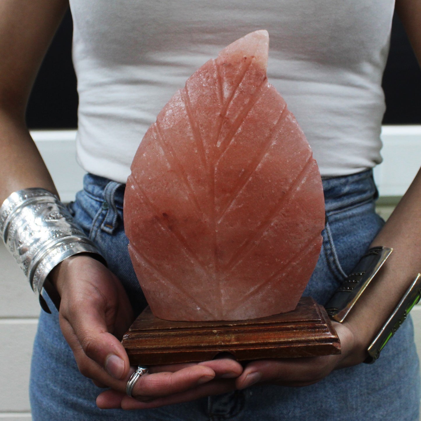 Wooden Base Himalayan Fern Leaf Shaped Salt Lamp - UK Free Delivery