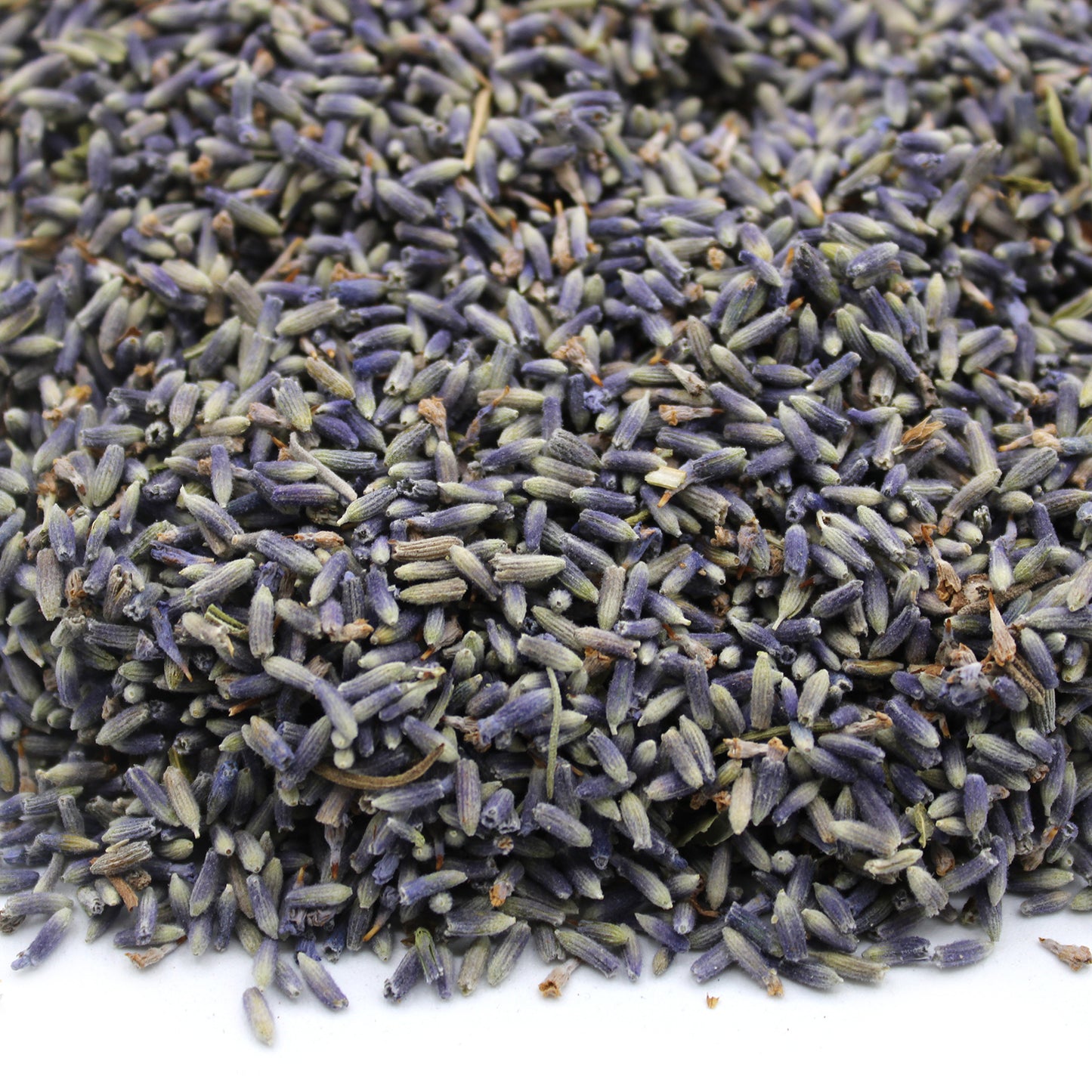 Dried Lavender Flowers - Perfect for Bouquets, Weddings & Home Decor