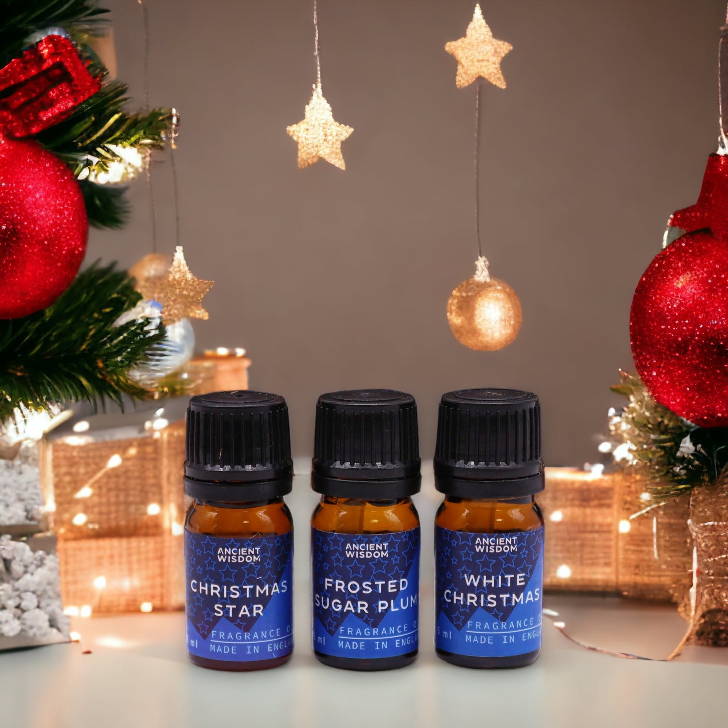 Festive Delights Christmas Fragrance Scented Oils Set - Nova Mart UK