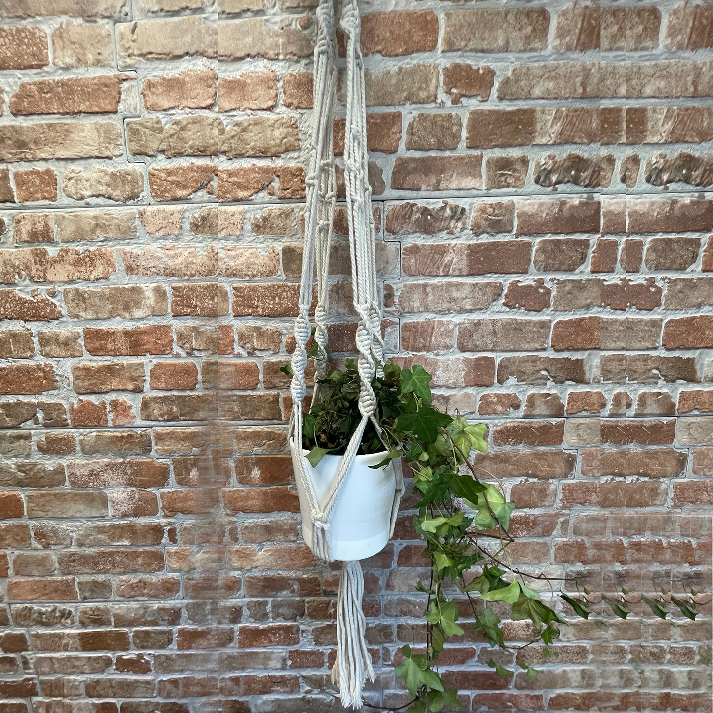 Large Extra Long Macrame Pot Holder for Plants - Boho Home Decor