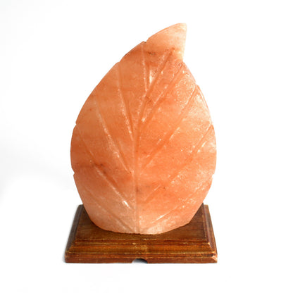 Wooden Base Himalayan Fern Leaf Shaped Salt Lamp - UK Free Delivery